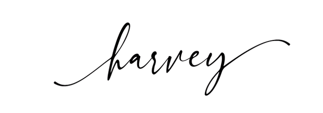 harvey no background.png