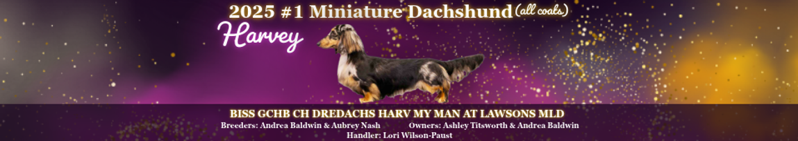 Website Ad - #1 Mini.png