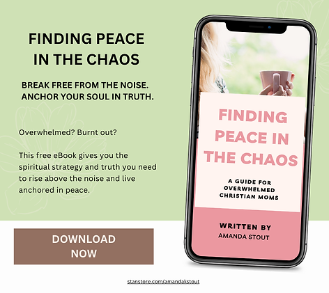 Finding Peace in the Chaos Mock up - Amanda Stout.png