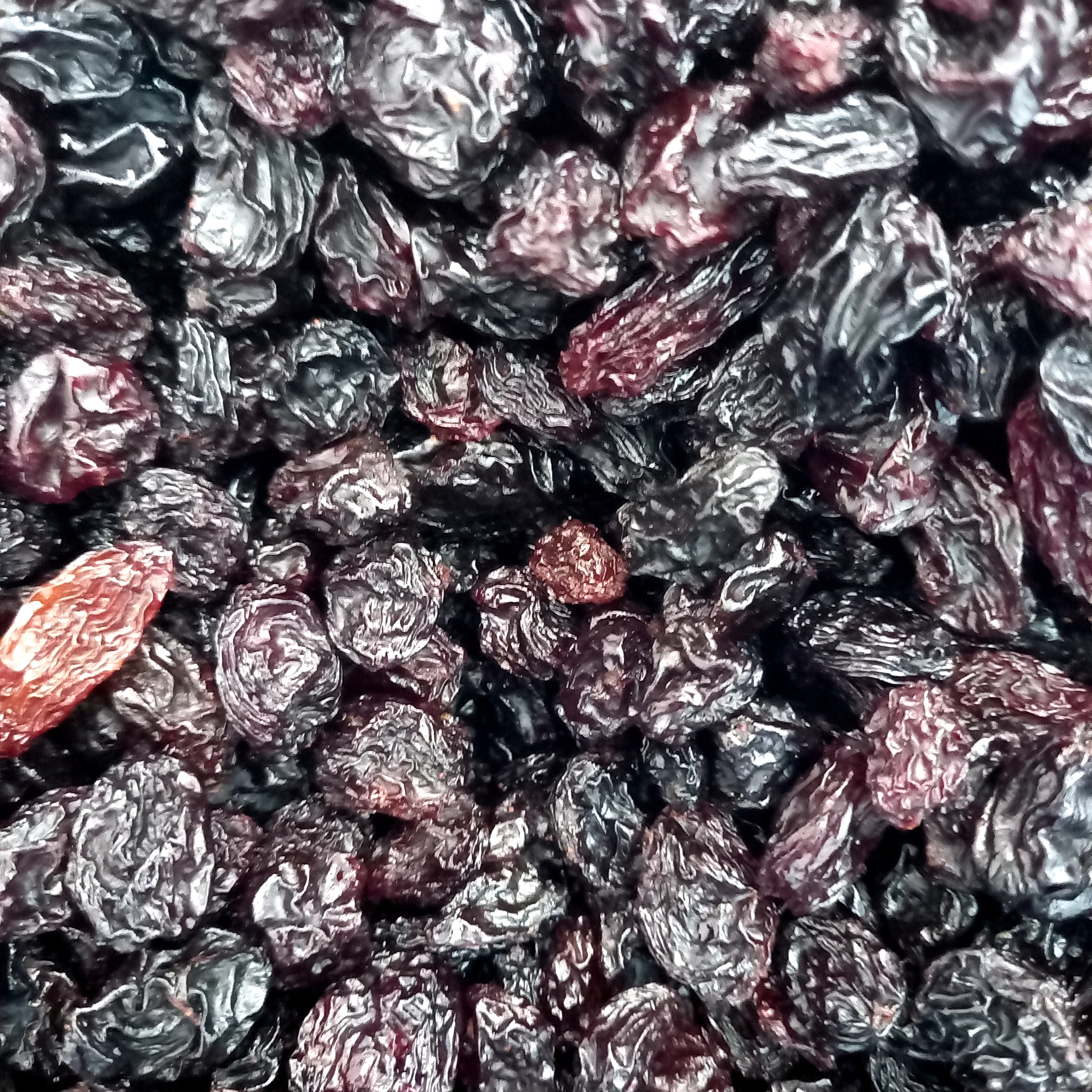 Thompson's Seedless Raisins