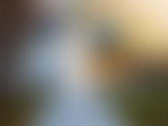 series llc real estate investor