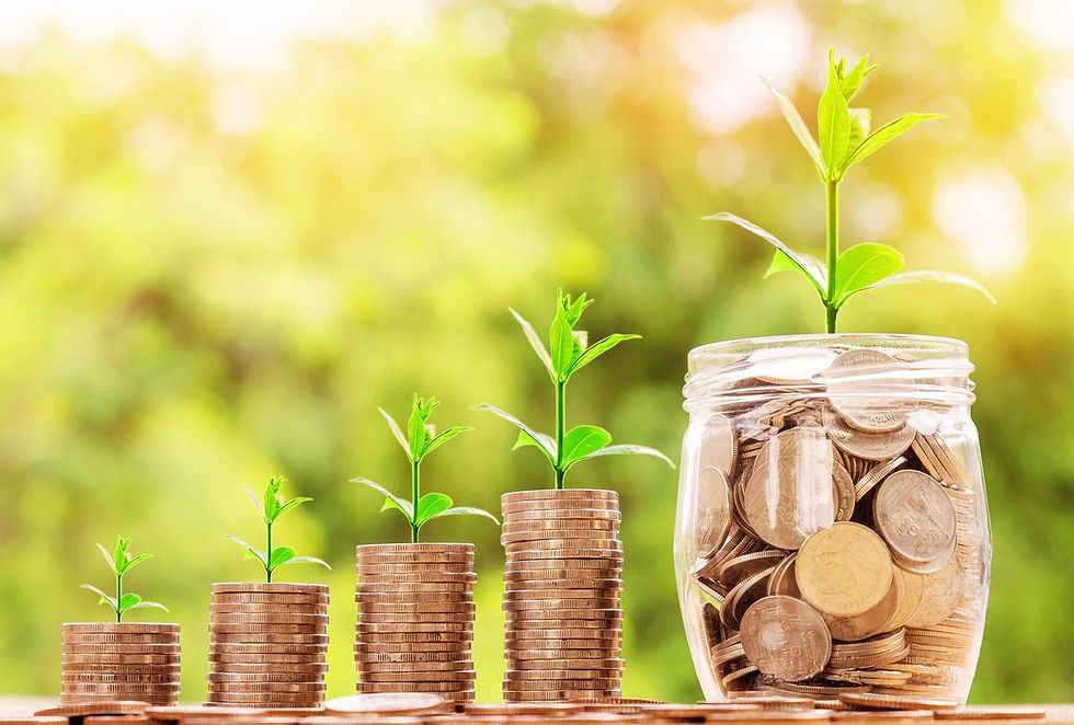 Revenue Multiples - how to value a business