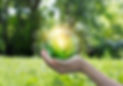 _Hands protecting globe of green tree on tropical nature summer background, Ecology and En