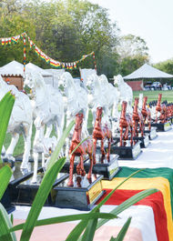 Marwari Horse Society