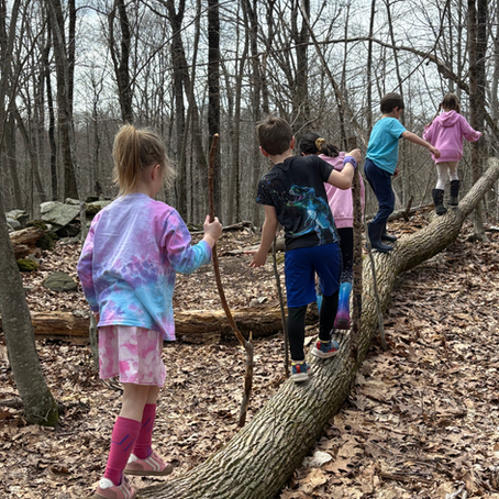 Kids hiking into the woods.