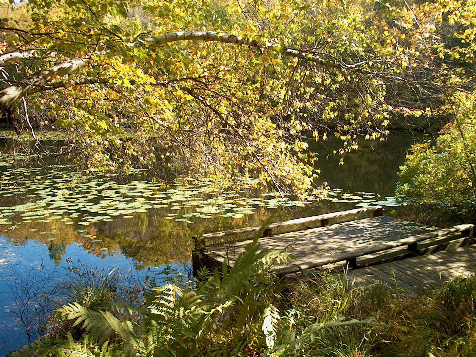 Nature Center