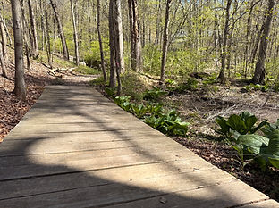 boardwalk