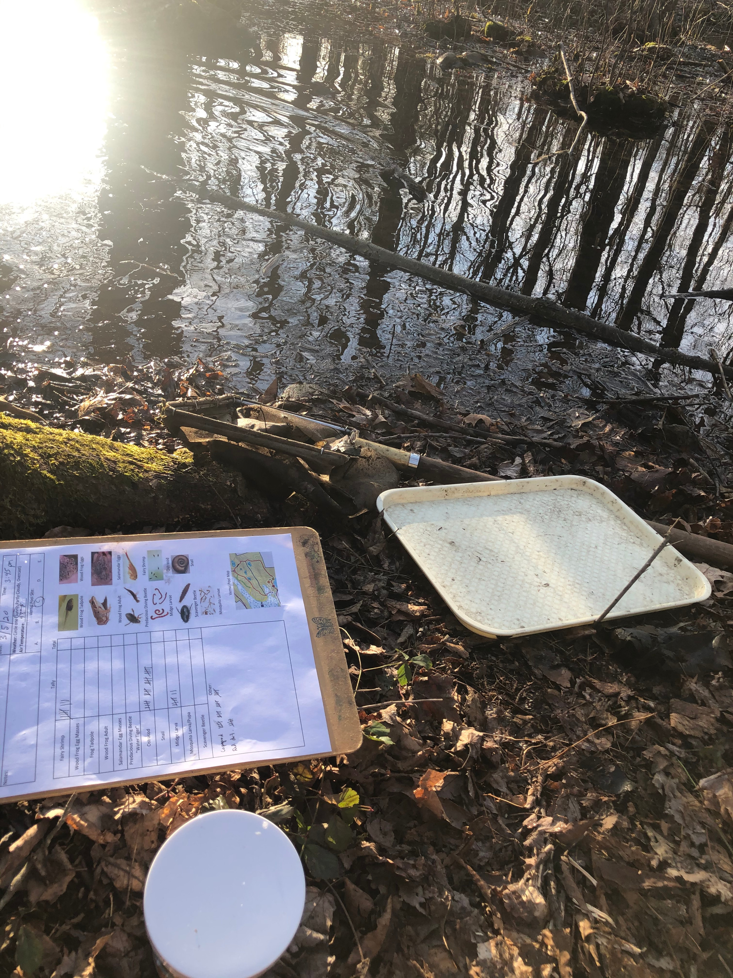 High School Research Projects | woodcocknaturecenter