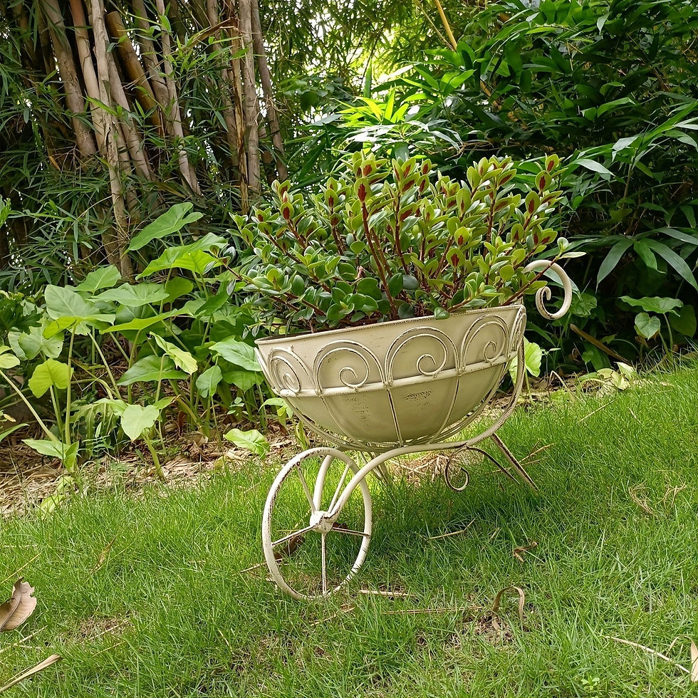 Thumbnail: Vintage Iron Garden Cart Planter with Drainage