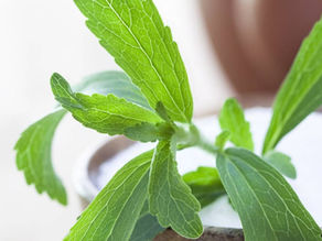 Esclarecendo dúvida! Alzheimer e Adoçante - há perigo?