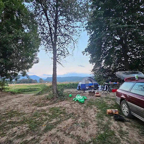 White Fir-tent car.jpg