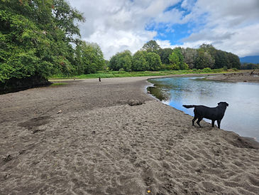 Riverbar below Elk Corner 2024.jpg