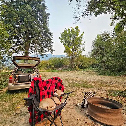 White Fir-pit car.jpg