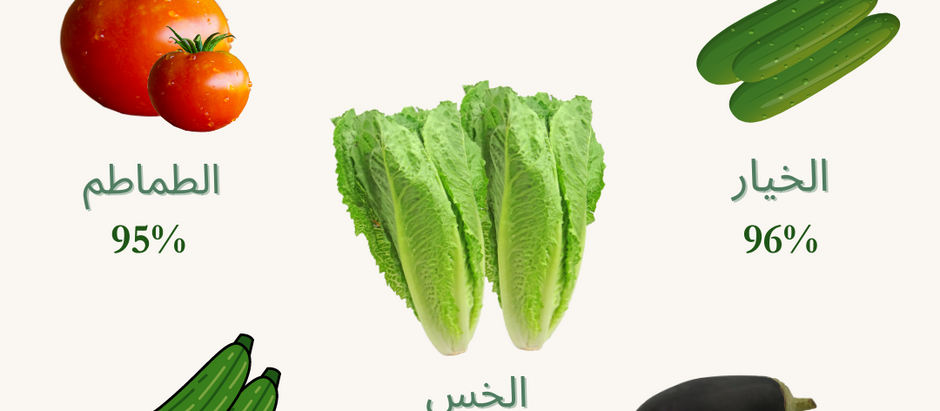 الخضروات الغنية بالماء