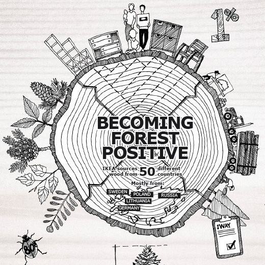 Becoming Forest Positive