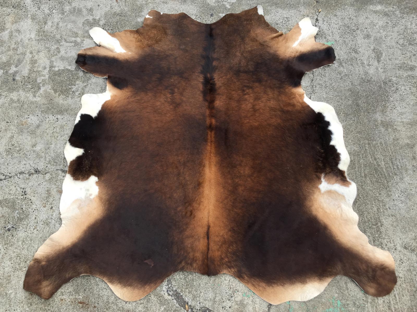 tanning cow hides tanning cow hides