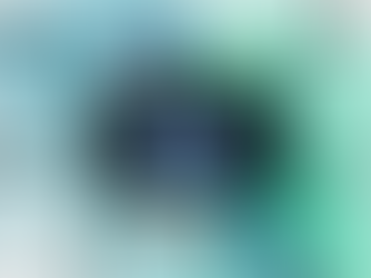 FACEBOOK'S ACQUISITION OF KUSTOMER:  ANALYZING THROUGH THE LENS OF EXCESSIVE DATA COLLECTION 