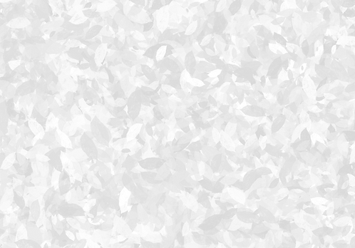 white background.png