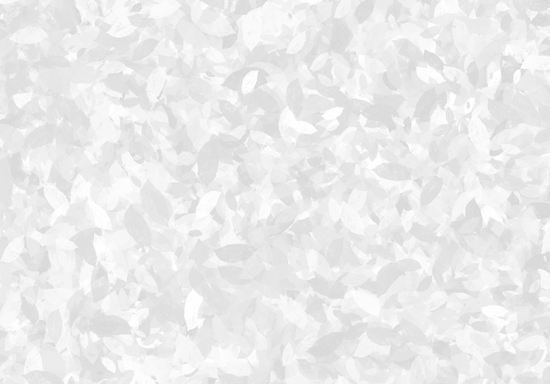 white background.png