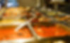 Plats cuisinés du jour-Cooked dishes of the day-Μαγειρευτά πιάτα ημέρας