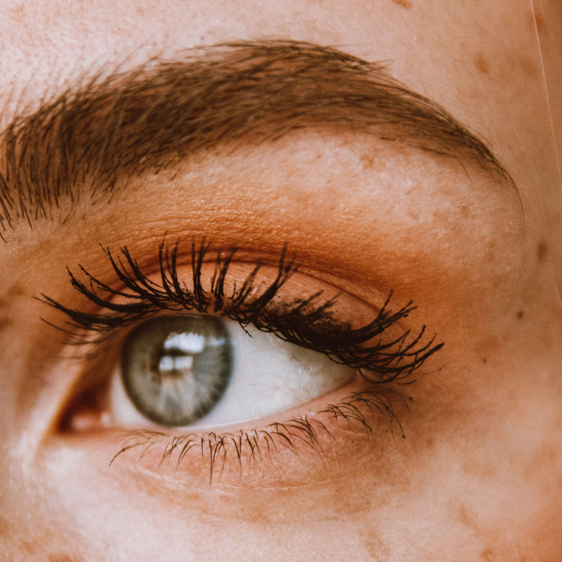 Eye Enhancements – Lash & Brow Tinting and Brow Shaping (Tweezing)