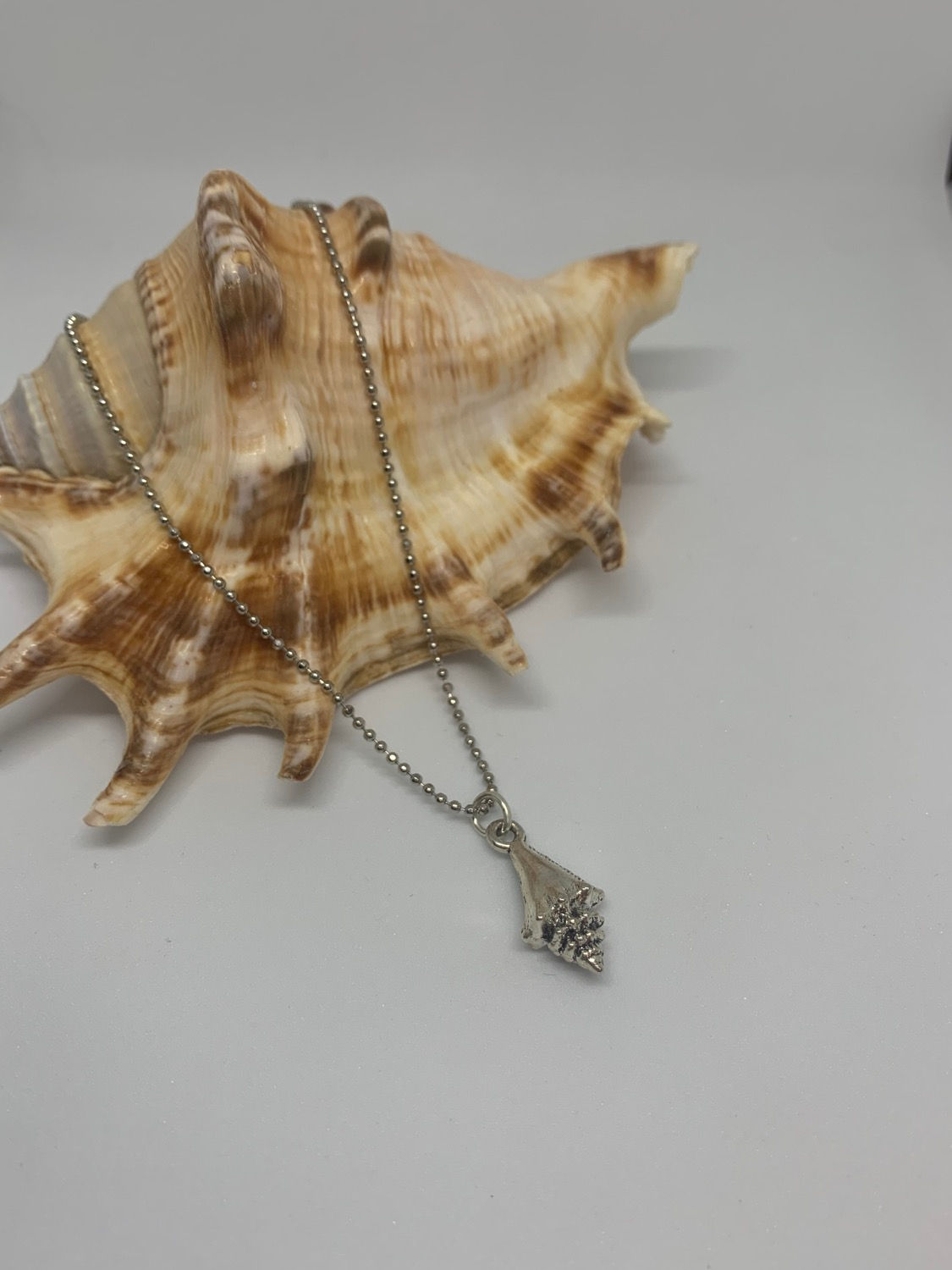 Shell Necklace
