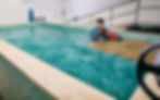 IMG-20241207-WA0012_edited.jpg