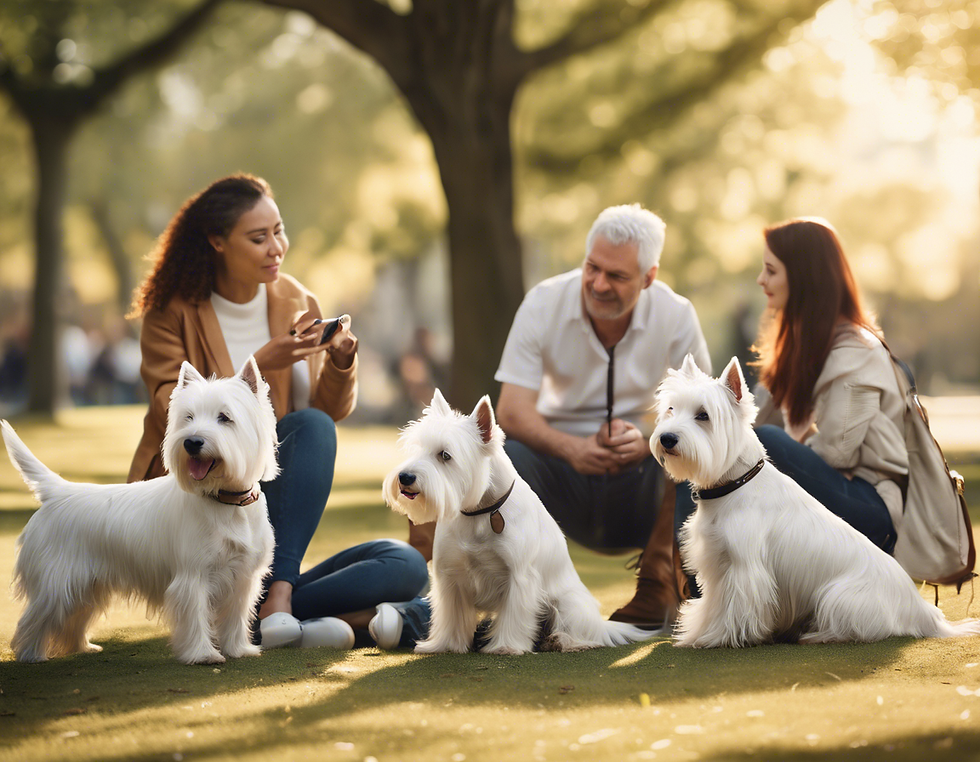 Community Engagement: Connecting with Other Westie Lovers