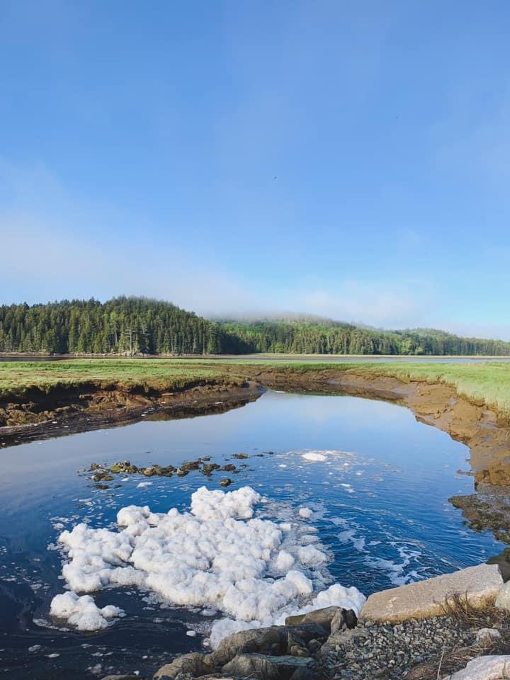 Machias River Inn hotel in Machias, Maine