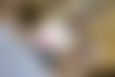 Blocking Out Comparisons: Social Media Edition