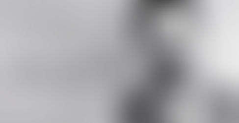 Quem foi Carlos Marighella?