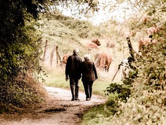 Urgent Care Needs for Older People - Frailty at the Front Door