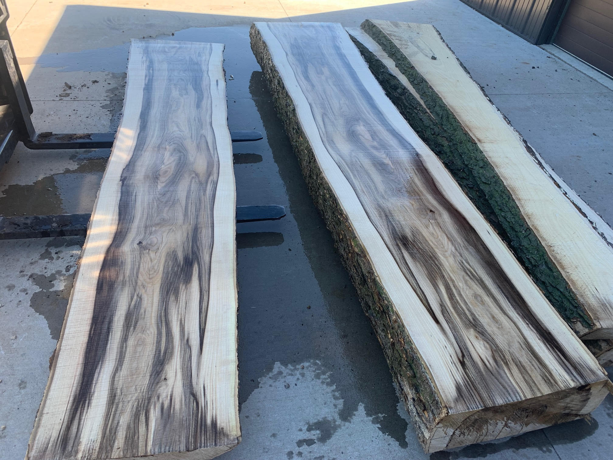 Hackberry