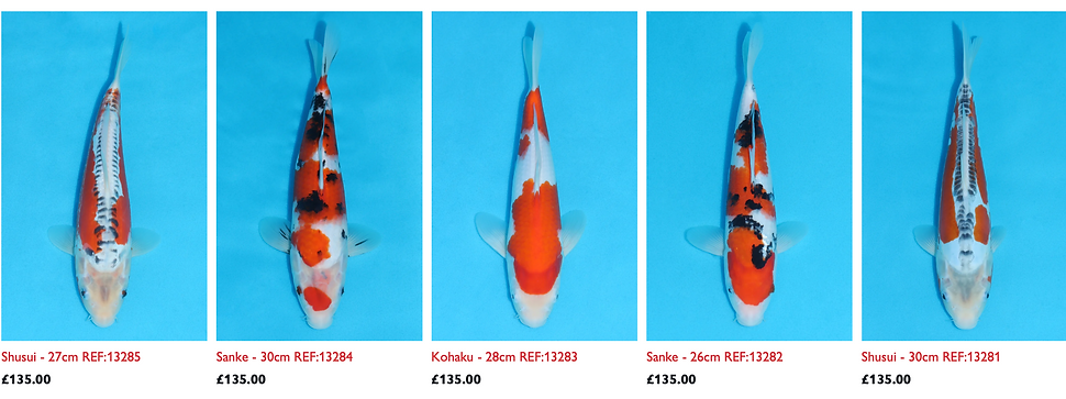 Screenshot 2025-01-20 at 20.11.46.png