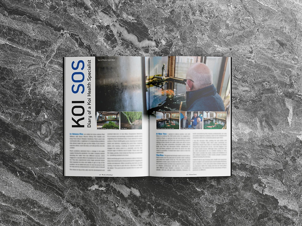 Thumbnail: Koi Magazine - Koi Mag