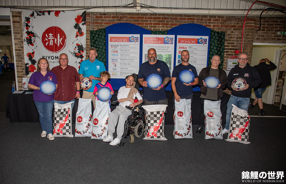 Koi Show and Events