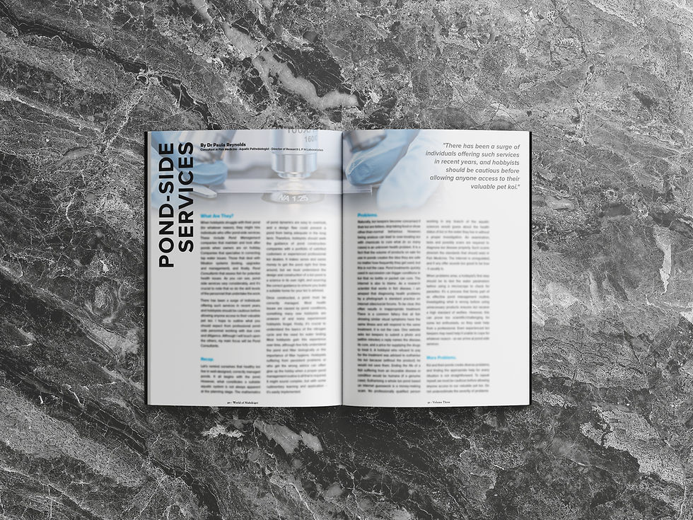 Thumbnail: Koi Magazine - Koi Mag