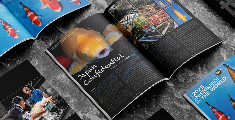 Koi Magazine 