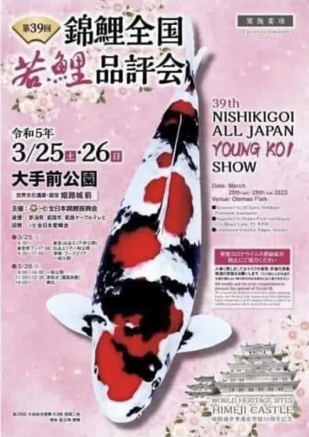 39th All Japan Young Koi Show 