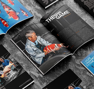 koi magazine - the uk's only magazine for koi keepers. 
