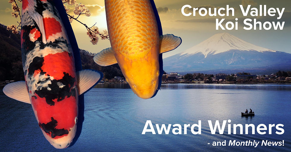 The UK's leading Koi Magazine. Koi monthly news