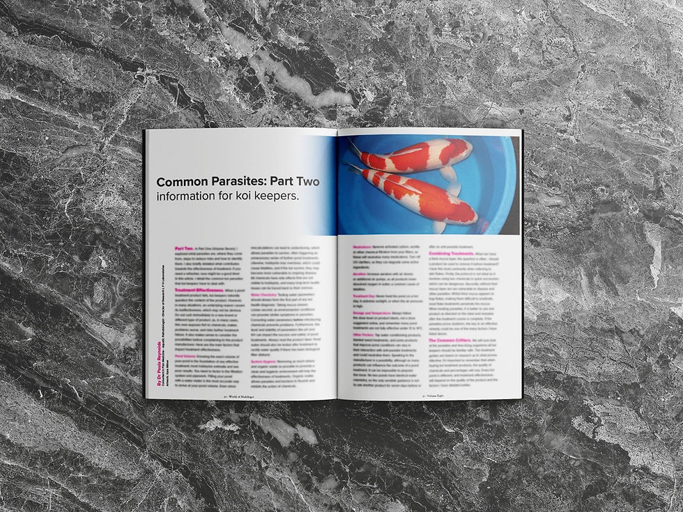 Thumbnail: Koi Mag - Koi Magazine