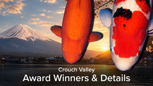 Crouch Valley Koi Show 2026