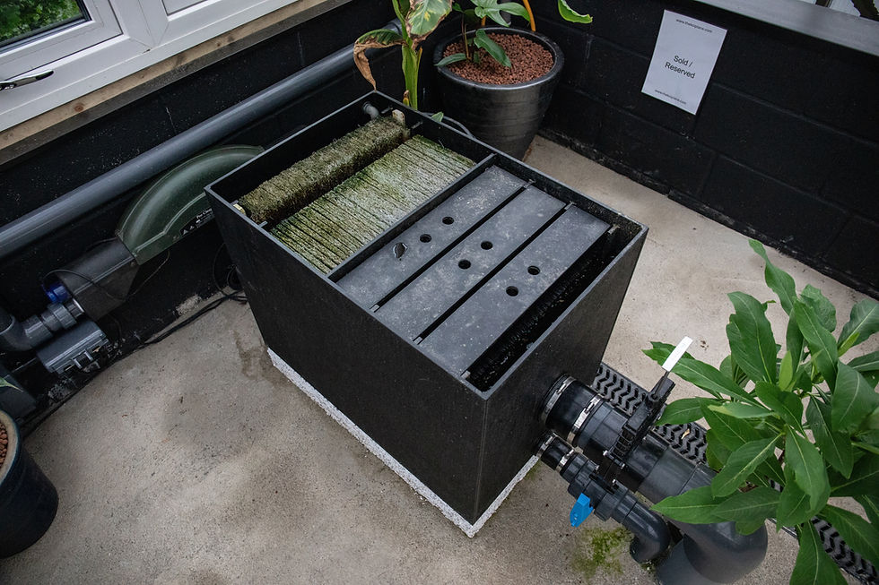 The Koi Place - Pond Filtration 