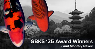 Great British Koi Show 2025
