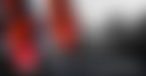 Great British Koi Show 2025