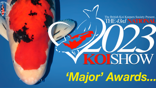 Major Awards - The National Koi Show 2023