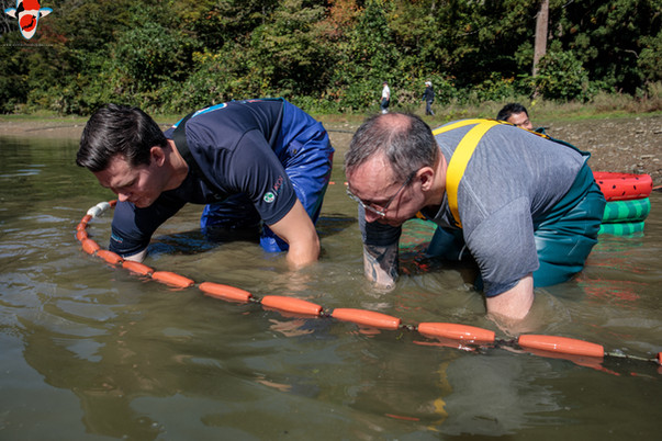 Koi Hunting - Mud Ponds 