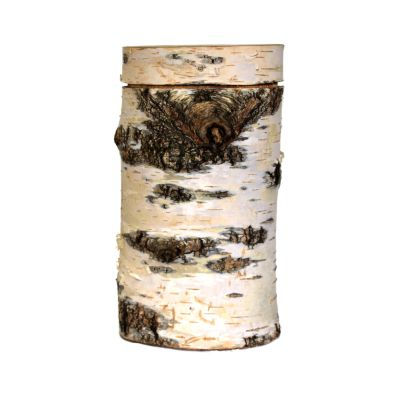 Thumbnail: Silver Birch Tree