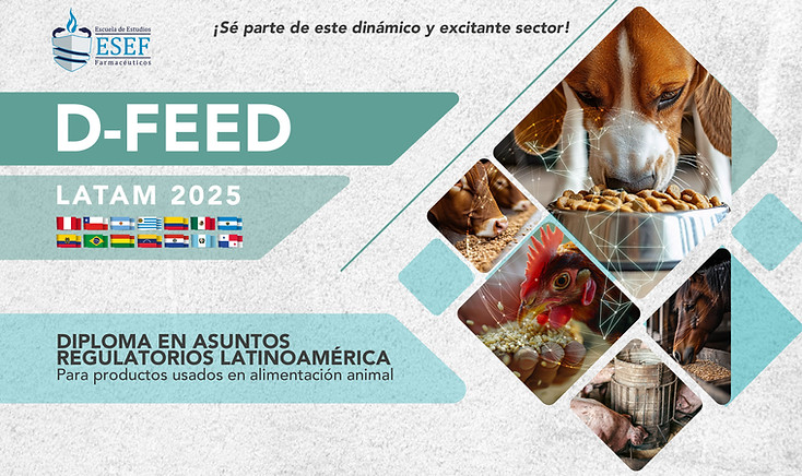 flyer d-feed rec.jpg